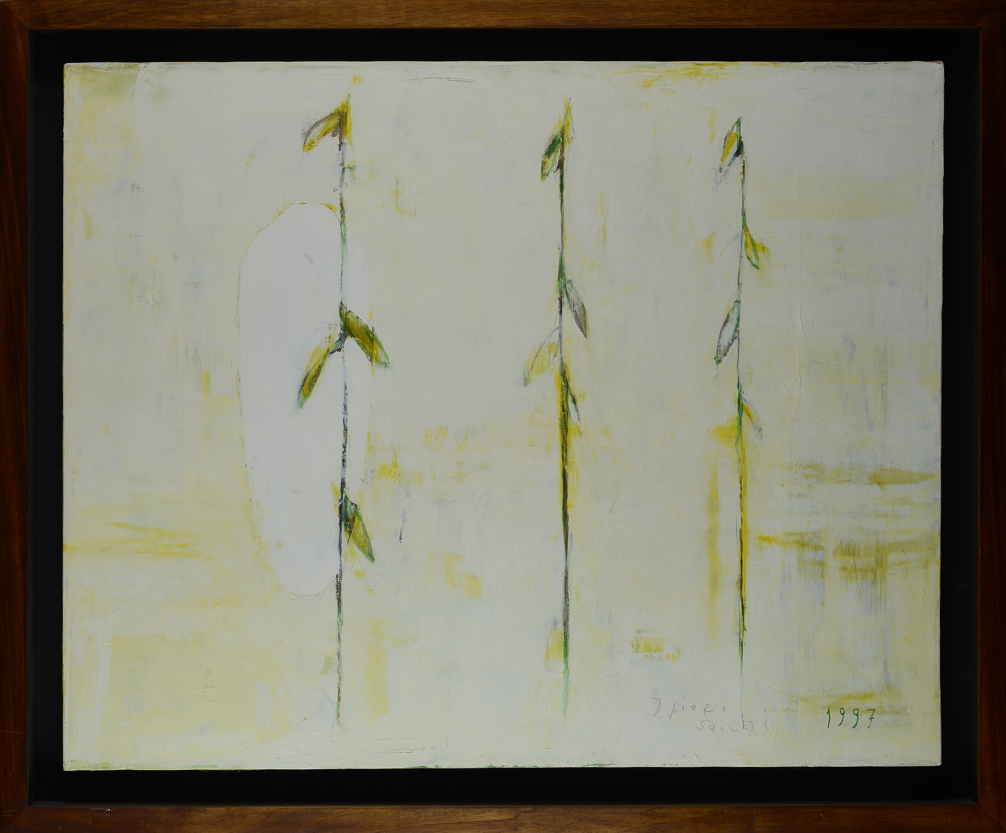 Piero Pizzi Cannella - I Fiori Secchi