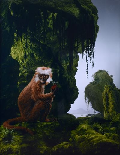The Monkey