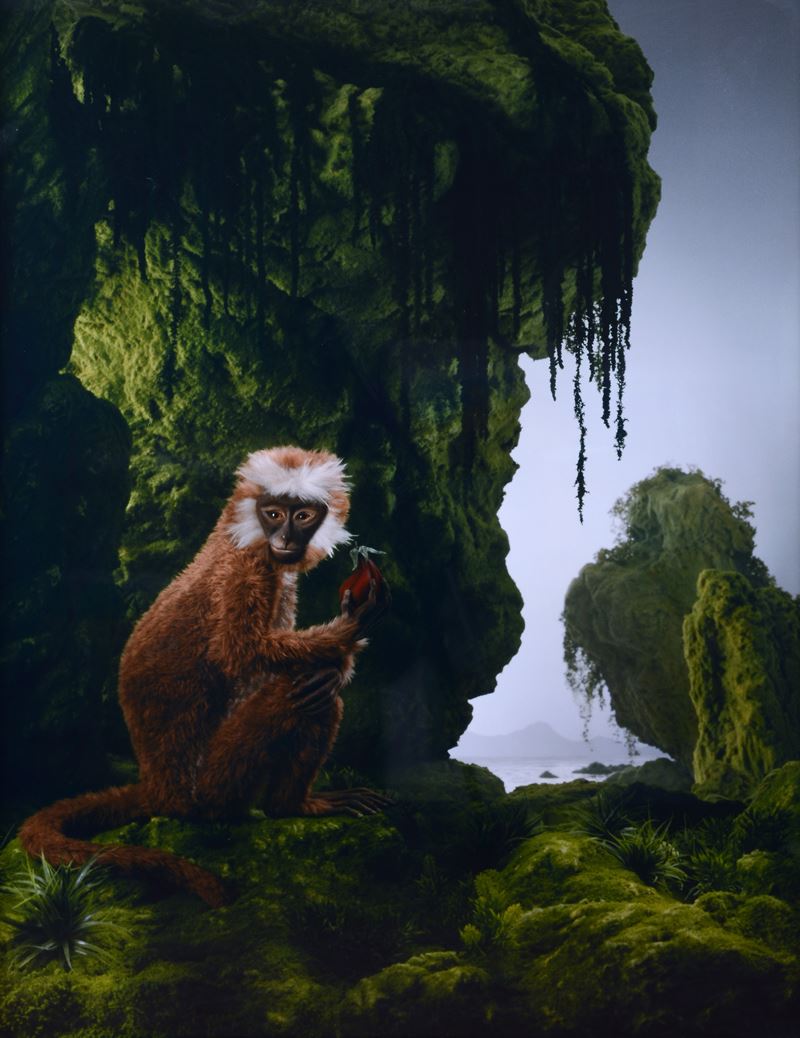 Didier Massard - The Monkey