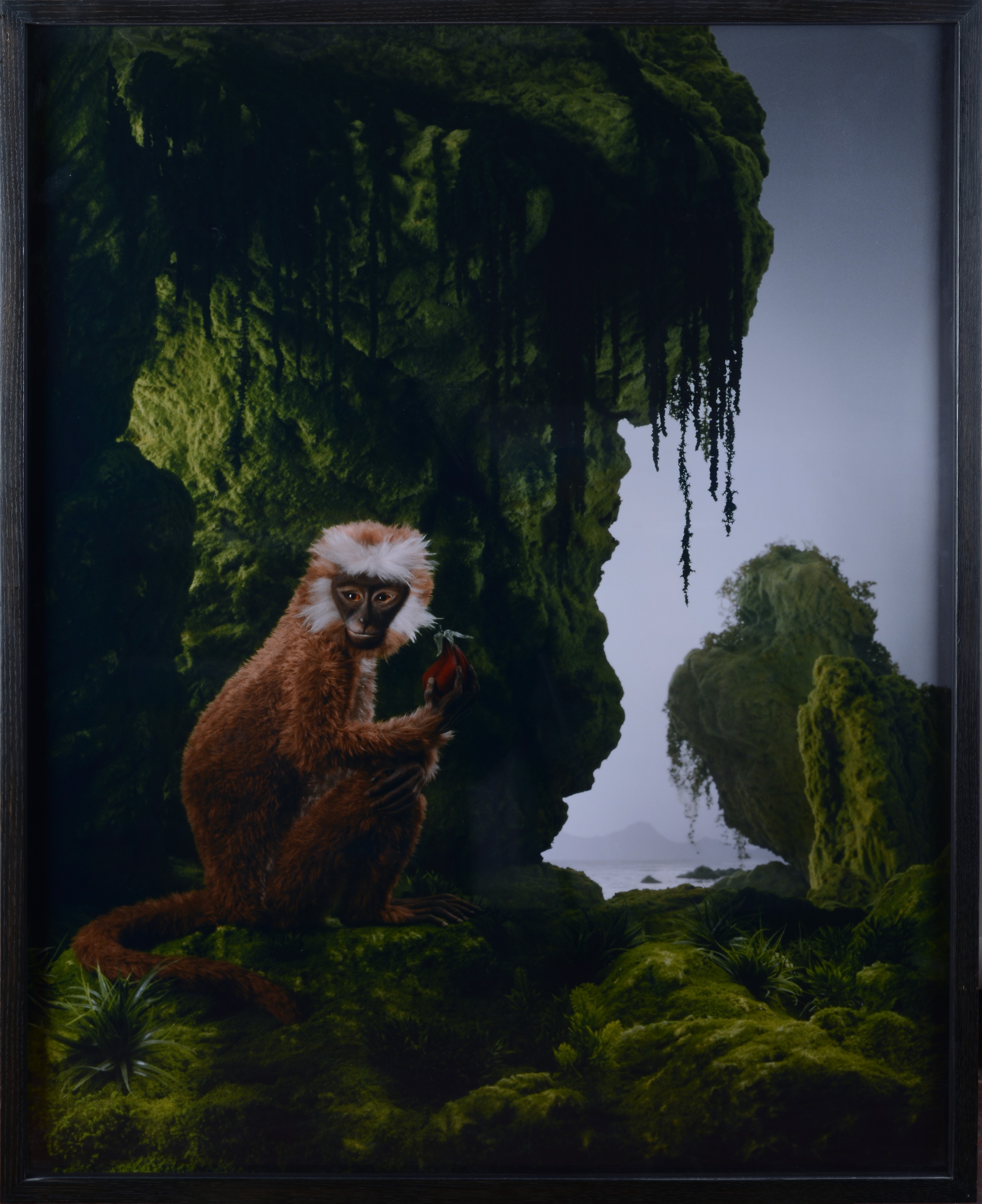Didier Massard - The Monkey