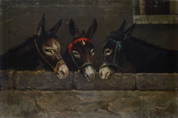 Stefano Bruzzi - Asinelli