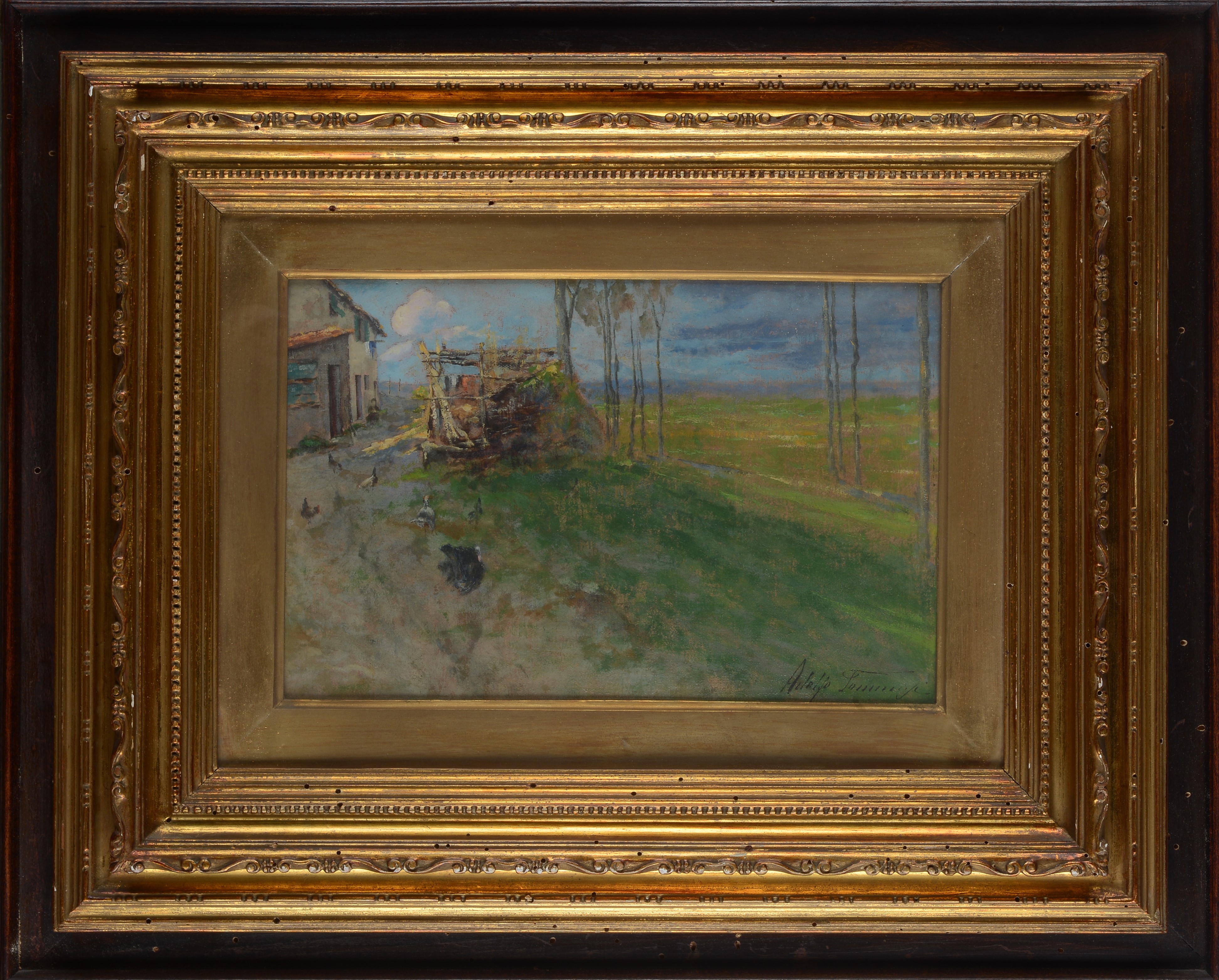Adolfo Tommasi - Campagna
