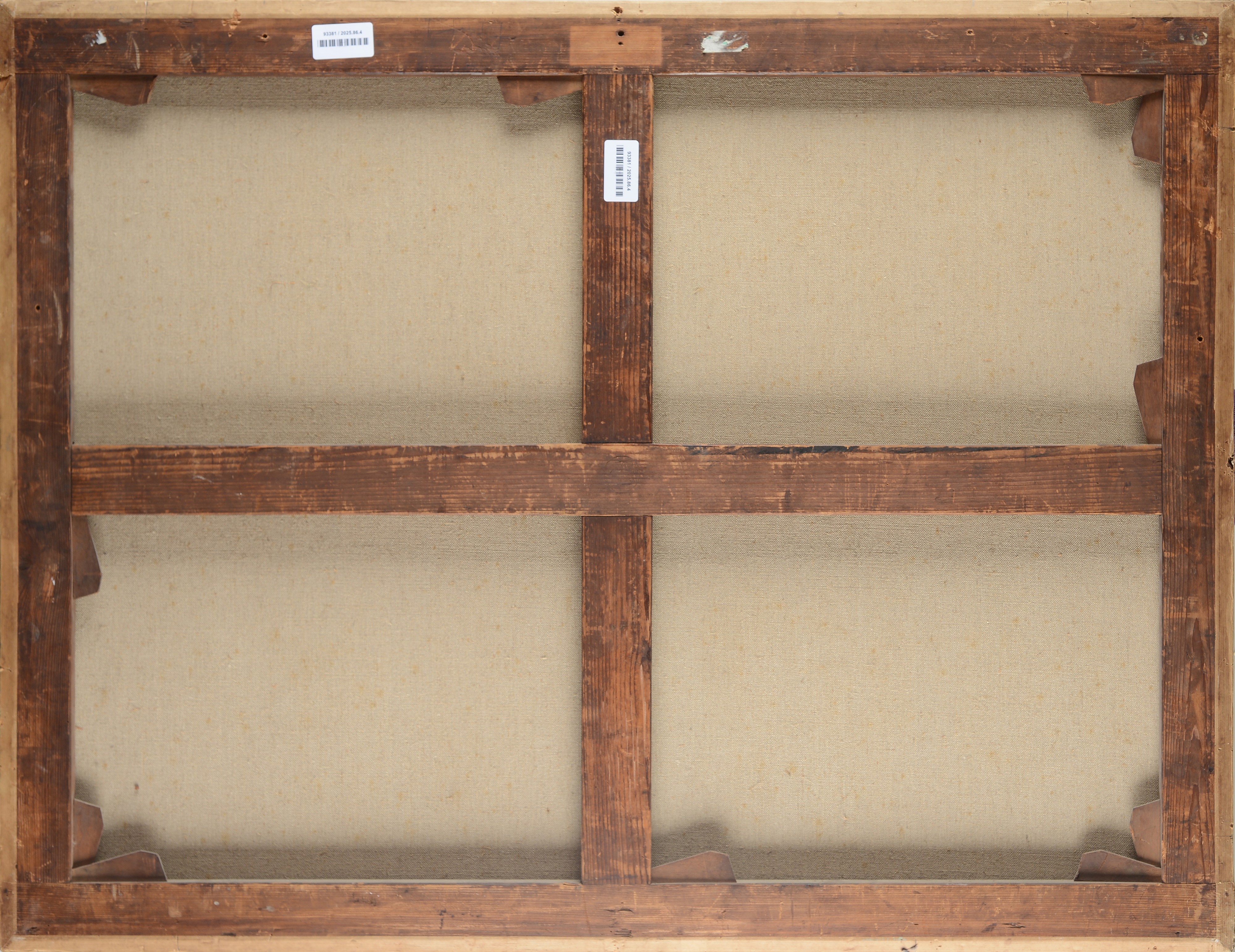 Scena d'interno con cane e gatti