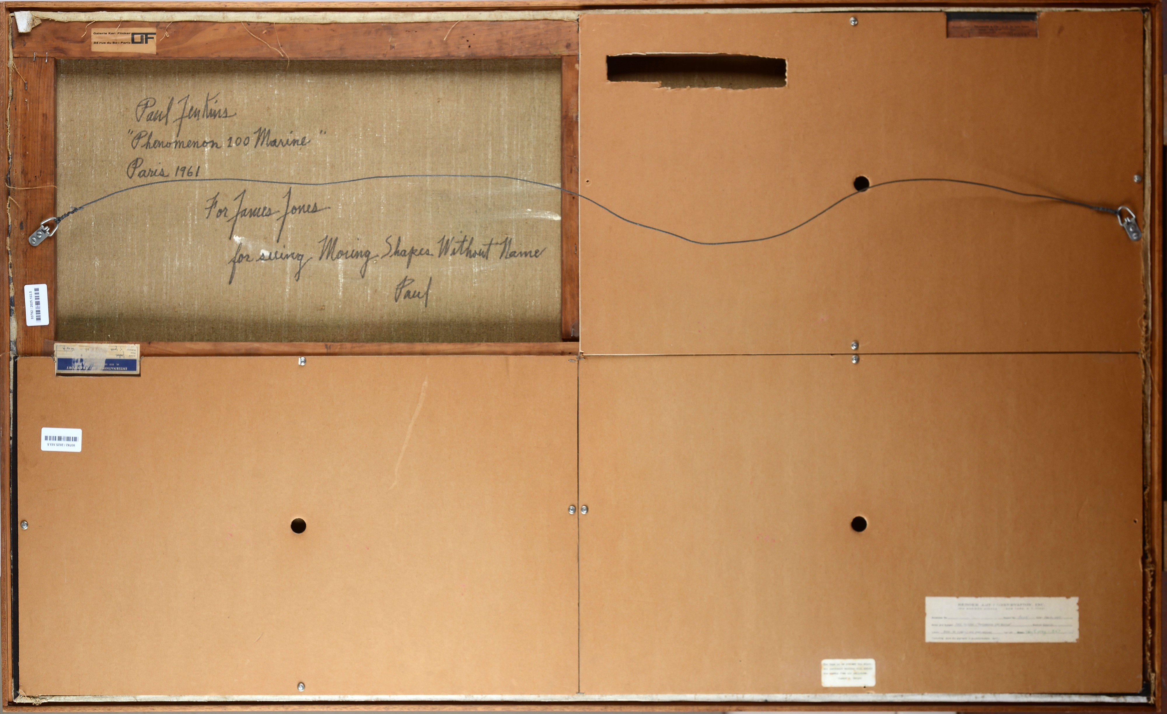 Phenomena 100 Marine