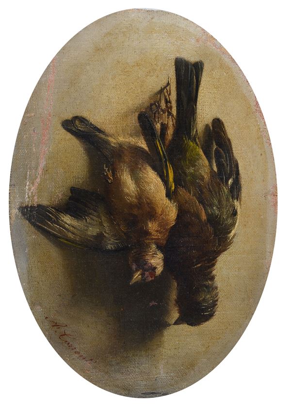 Anonimo, XIX sec. - Uccellini