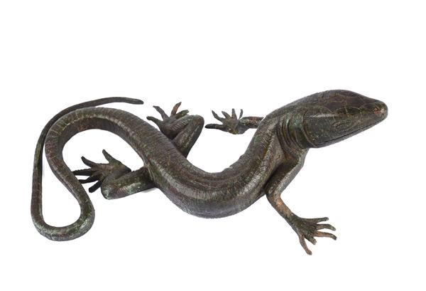 Lizard