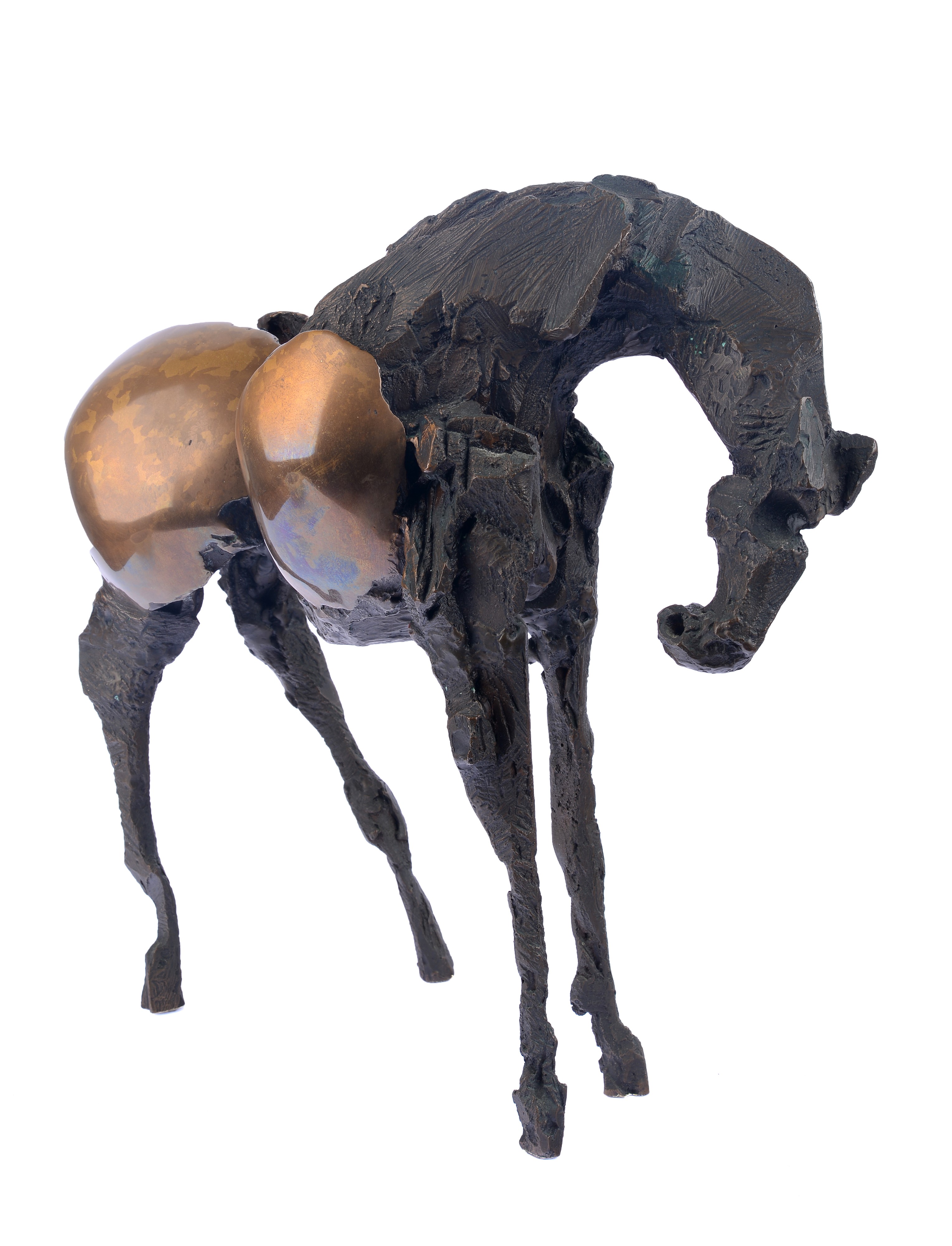 Cavallo