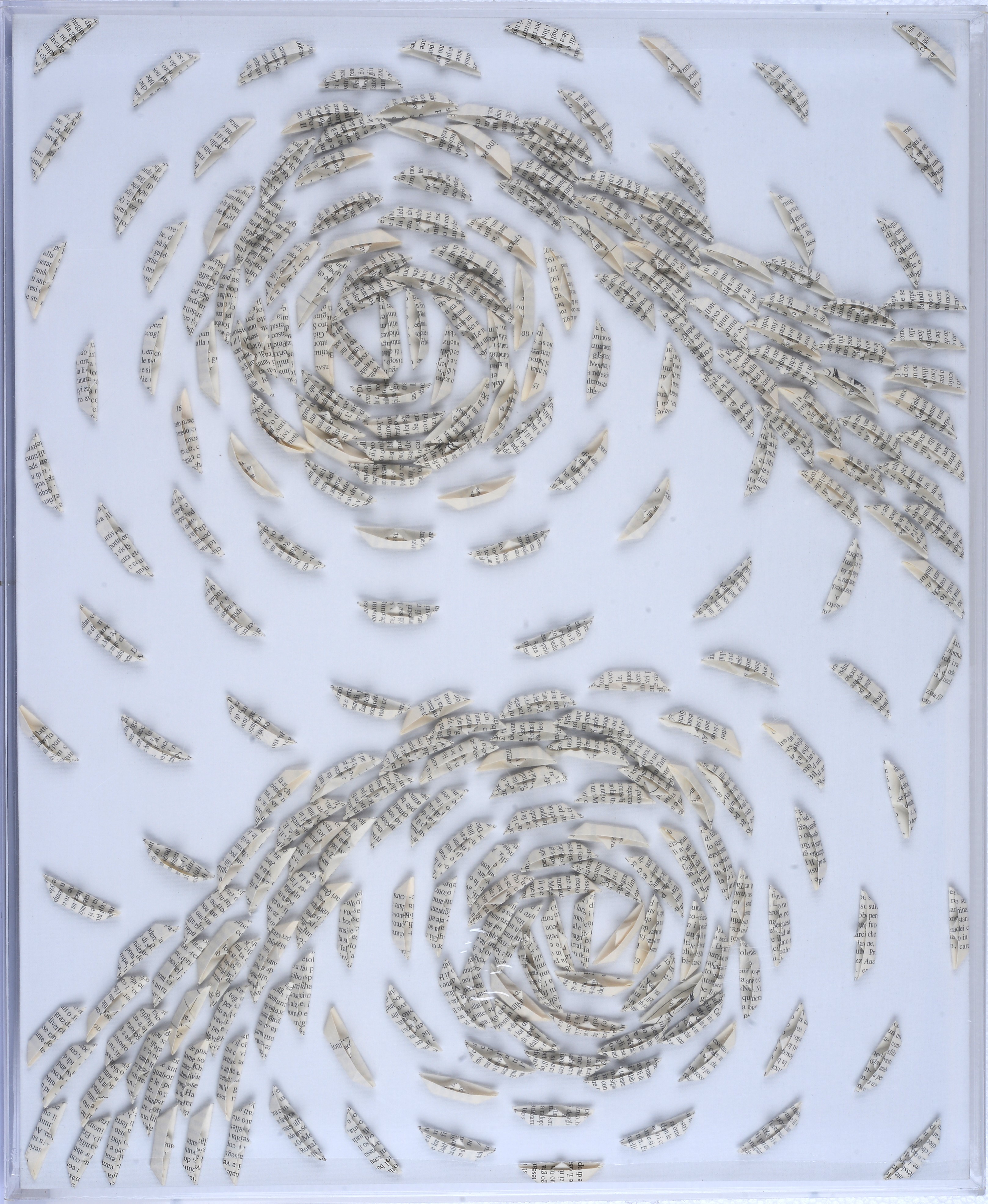 Vortice libro