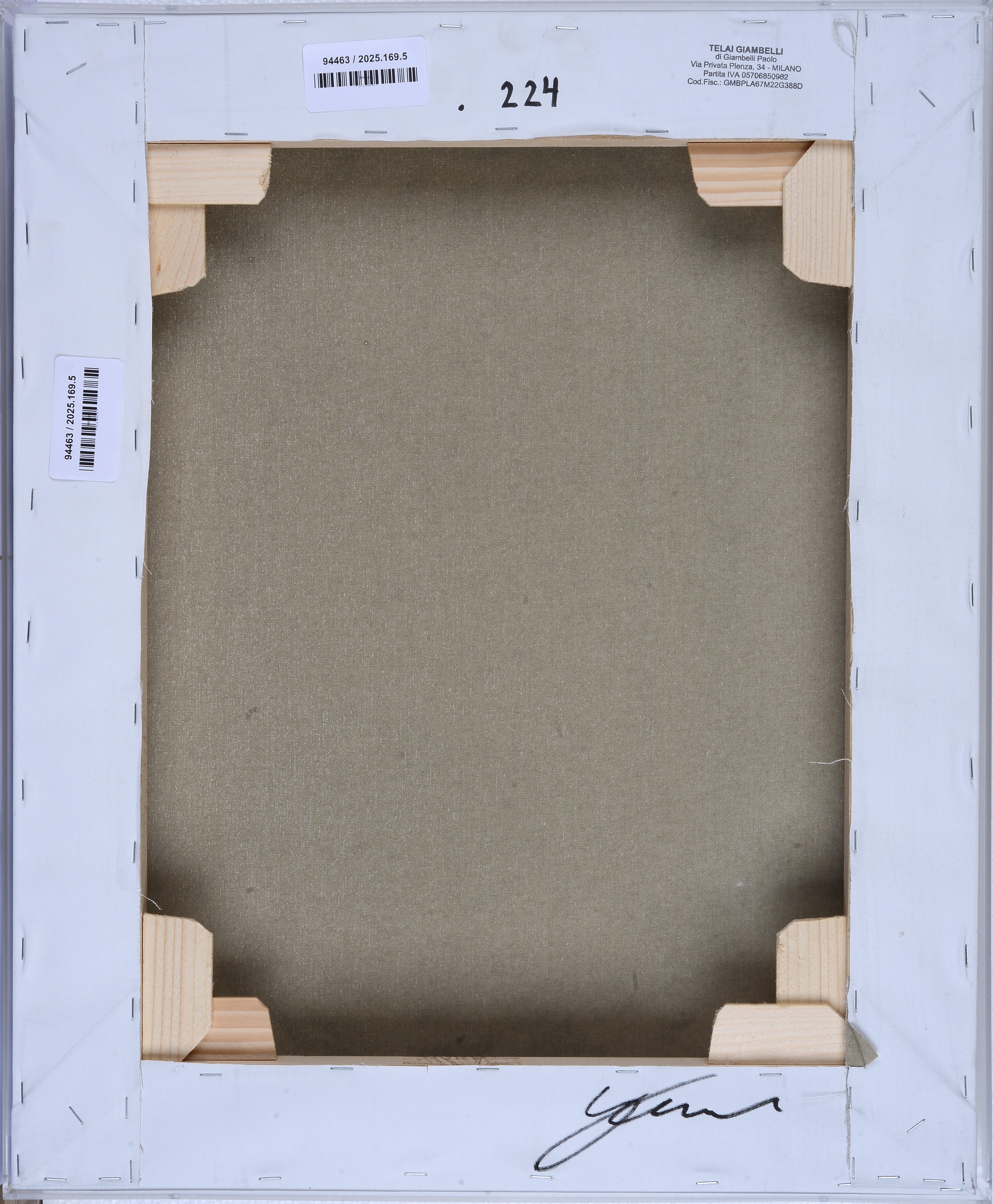Vortice libro