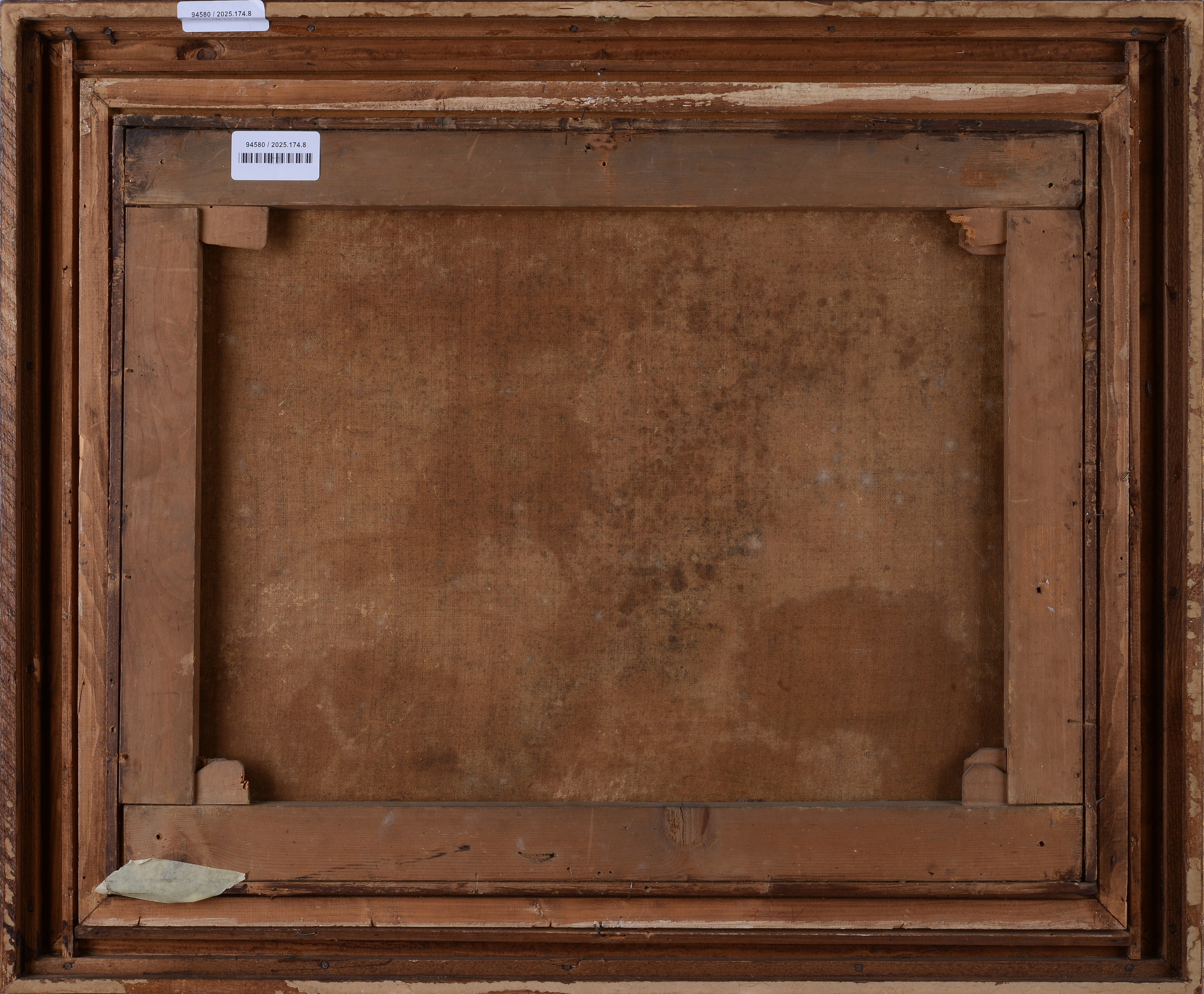 Natura morta con cane