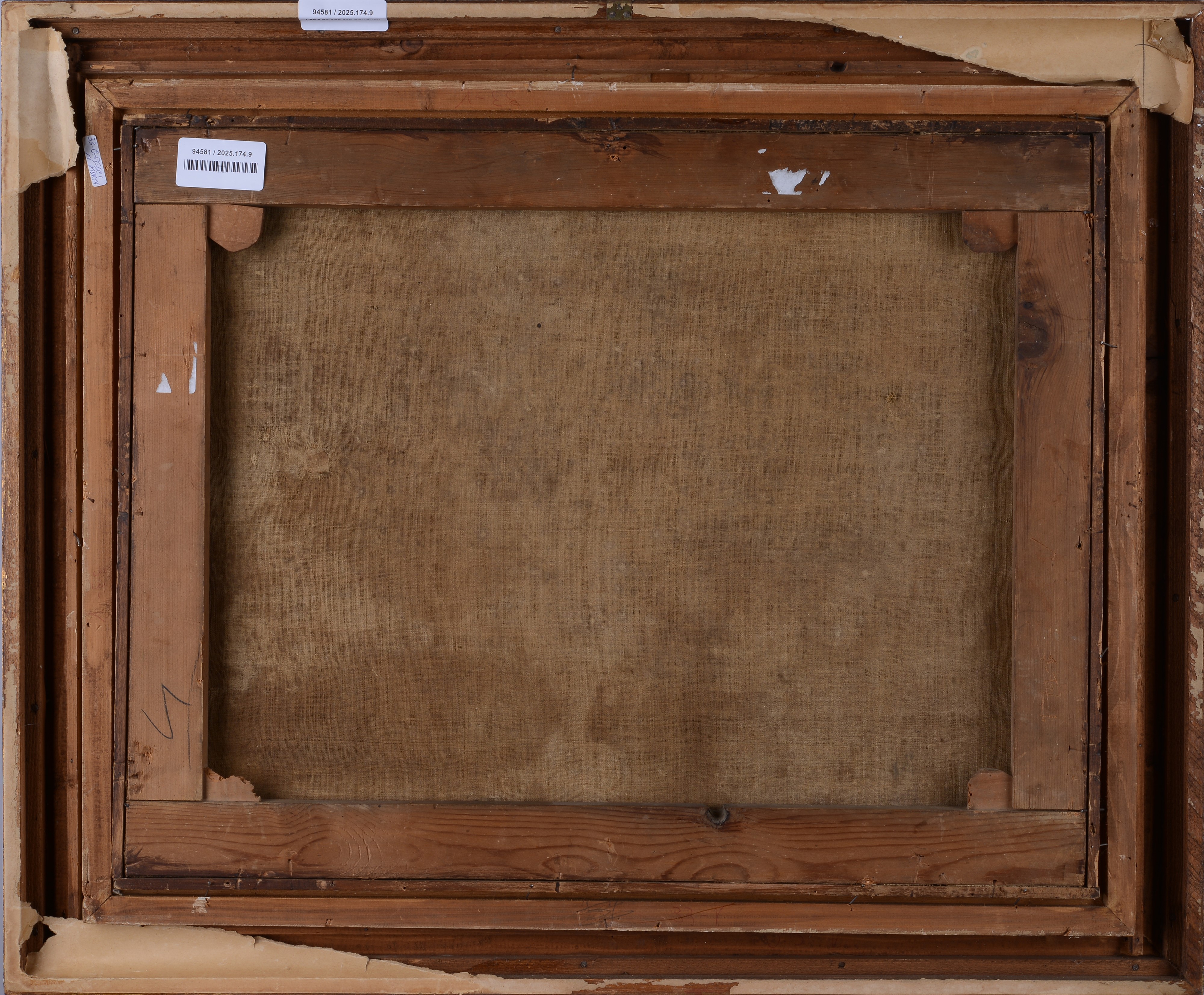 Natura morta con uccello