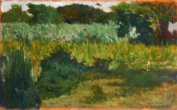 Landscape