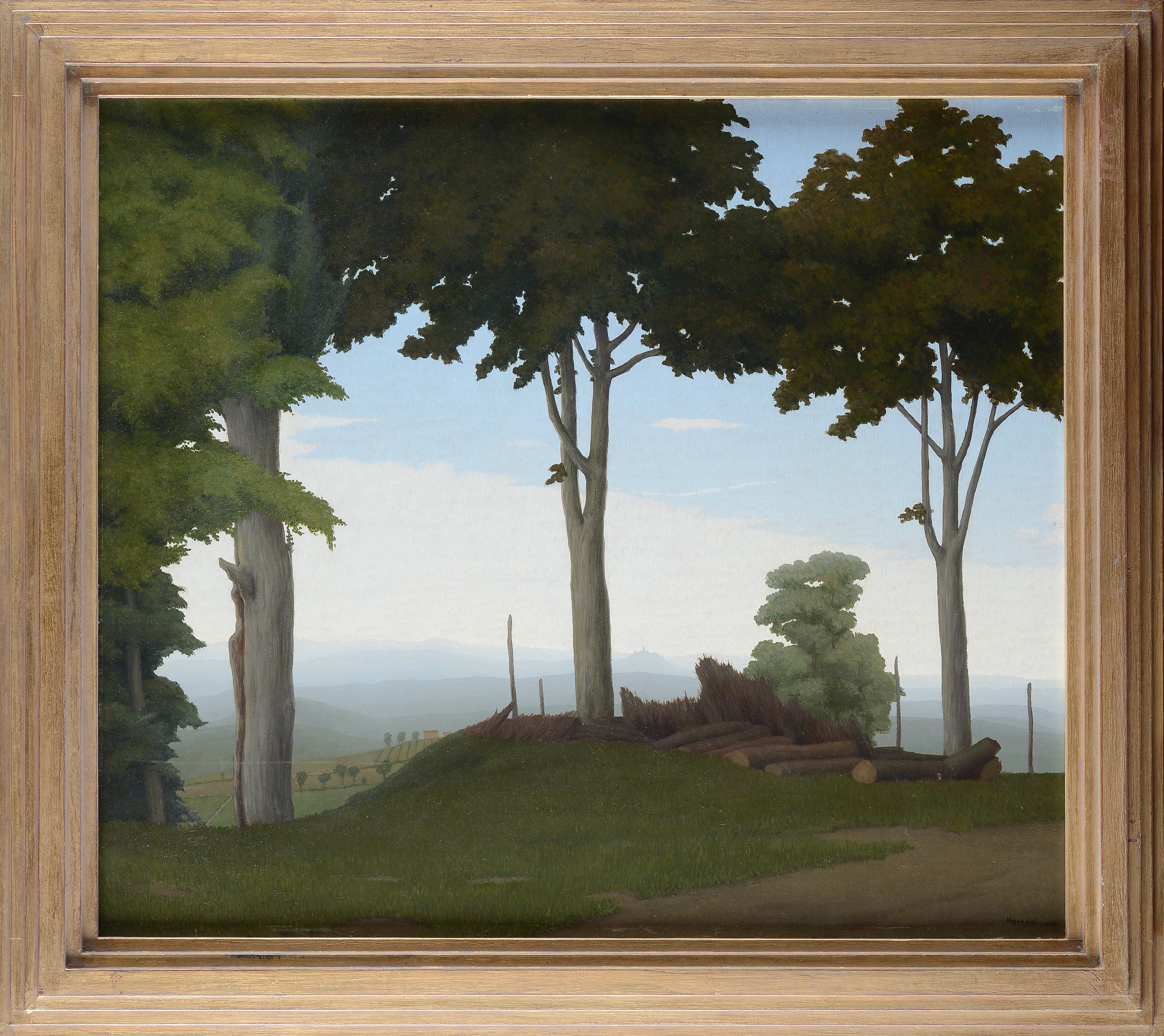 Mattino nel Monferrato