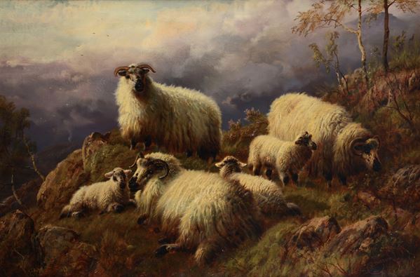 Robert Watson - Pecore