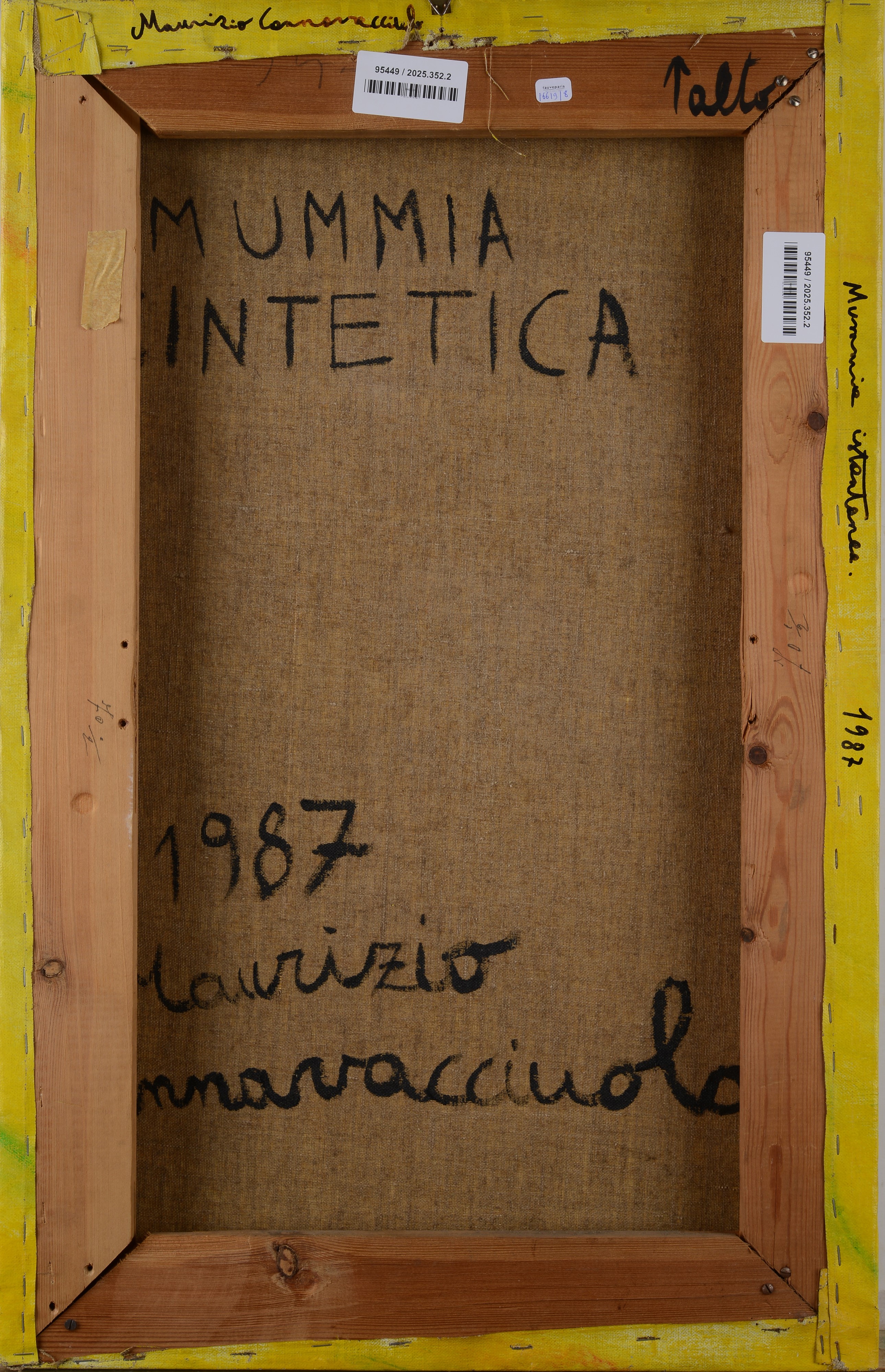 Maurizio Cannavacciuolo - Mummia Sintetica