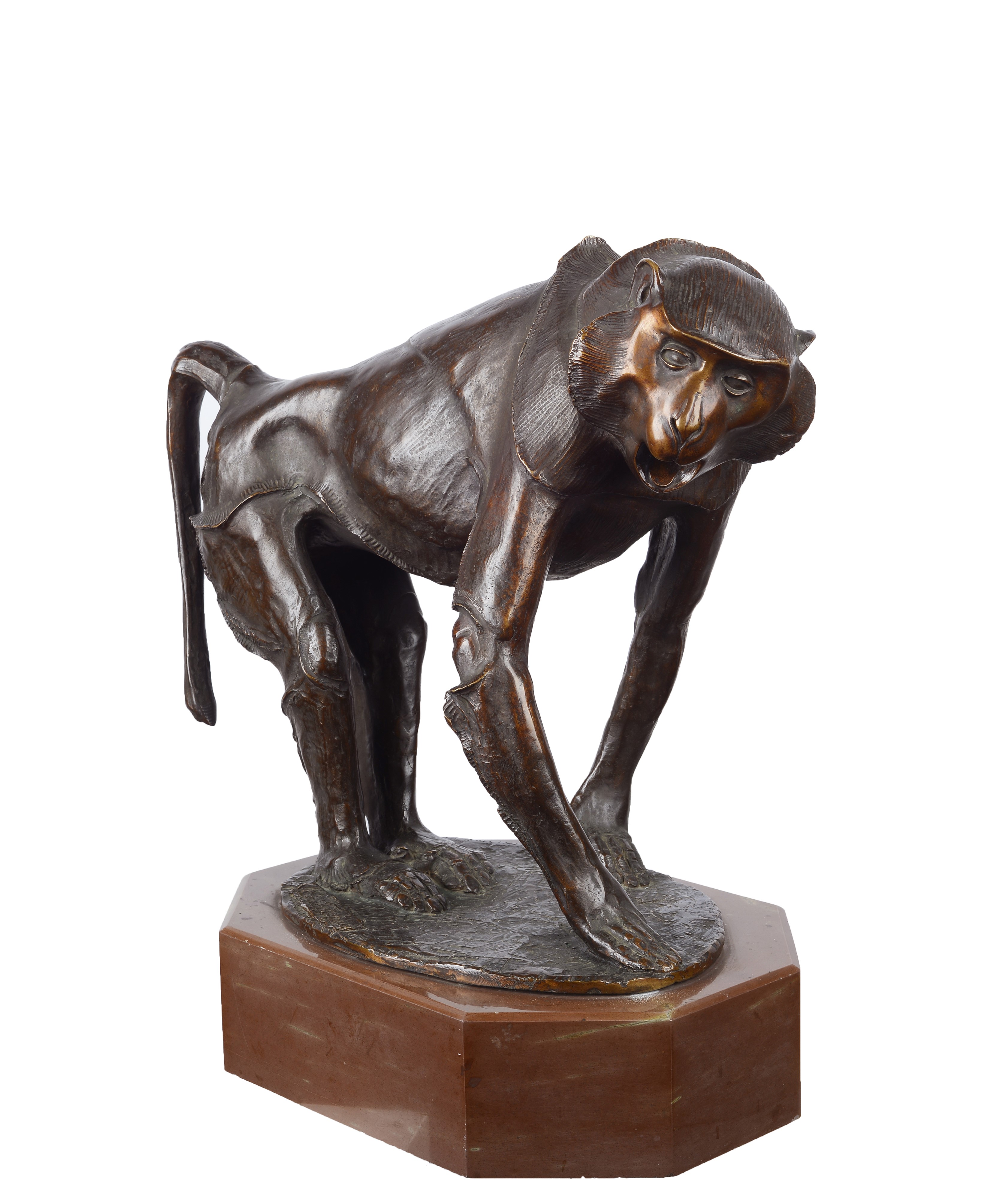 Sirio Tofanari - Babbuino, scultura in bronzo su base in marmo
