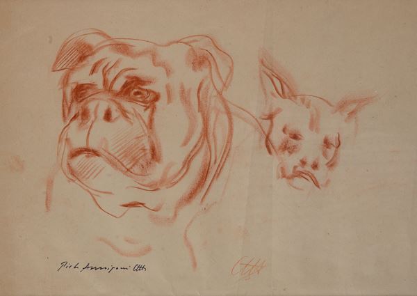 Pietro Annigoni - Dogs