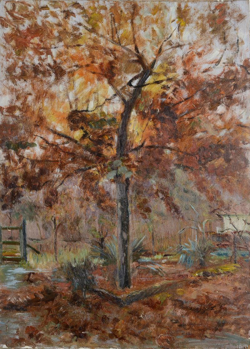 Albero (fronte) Vaso di fiori (verso)