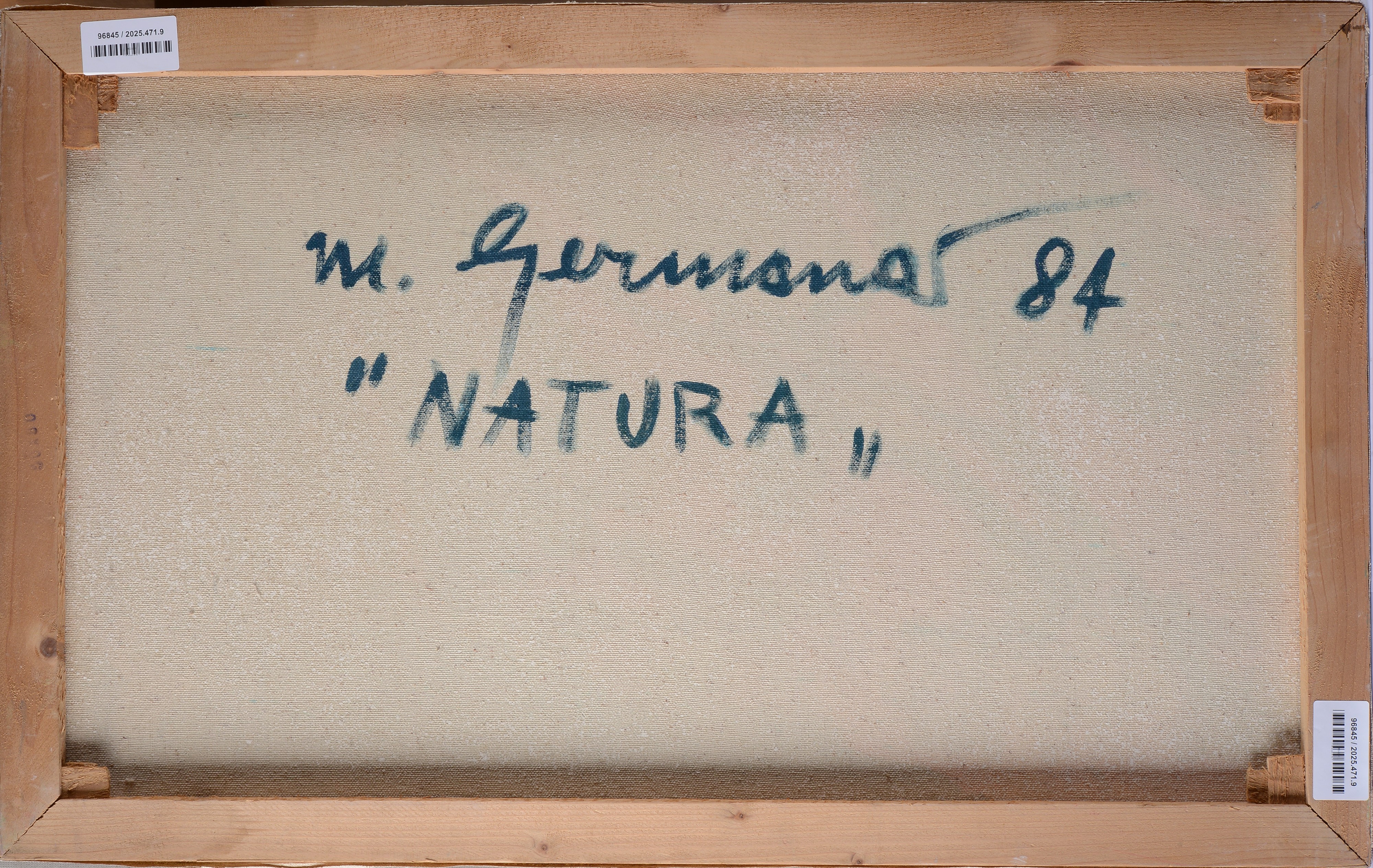 Mimmo Germanà - Natura, olio su tela, cm 50x80, 1984