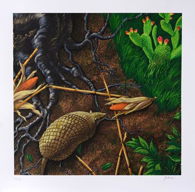Natura morta con armadillo, litografia, es. 25/99
