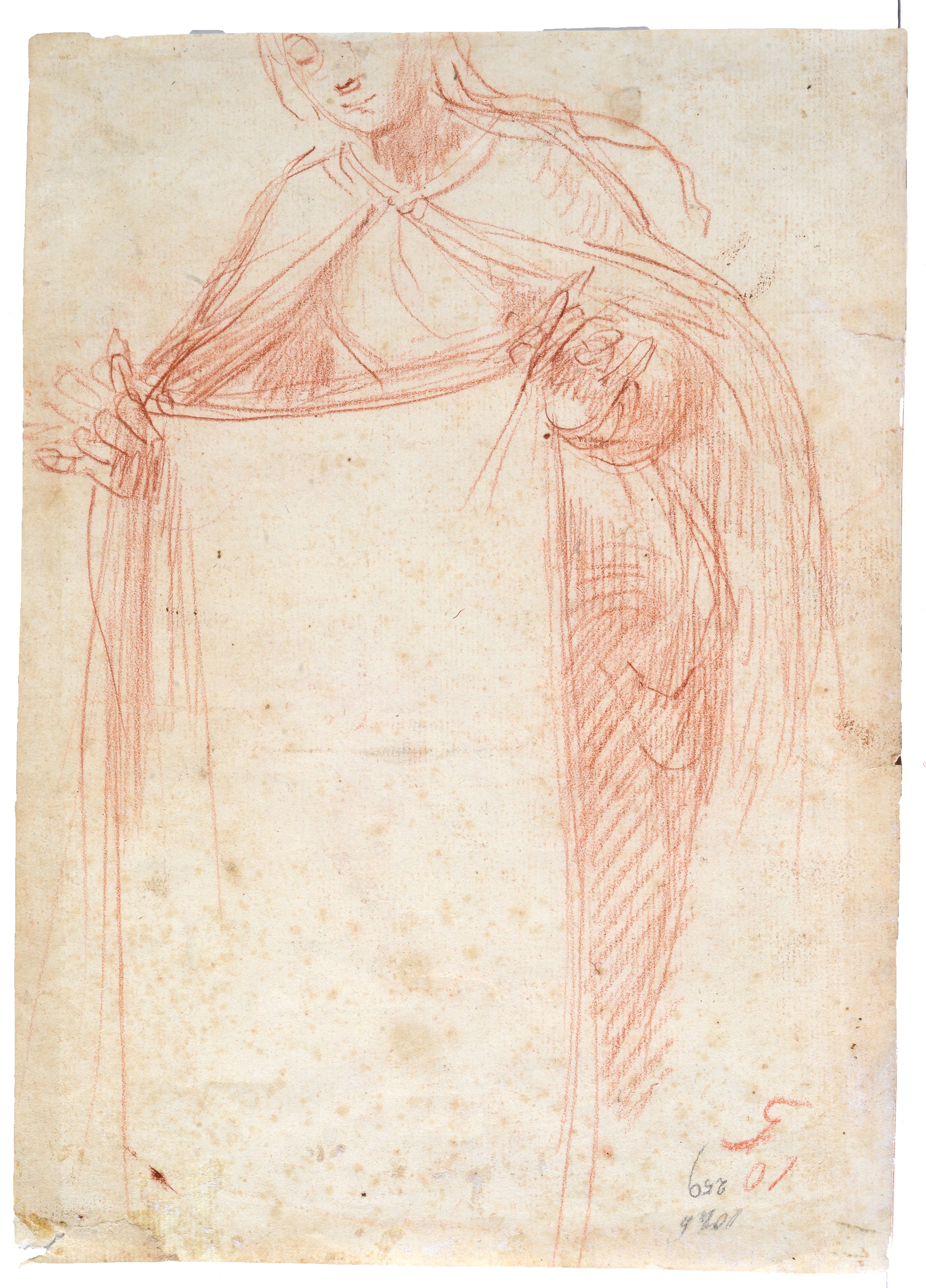 Santa Caterina d'Alessandria (fronte) Santa Veronica (verso)