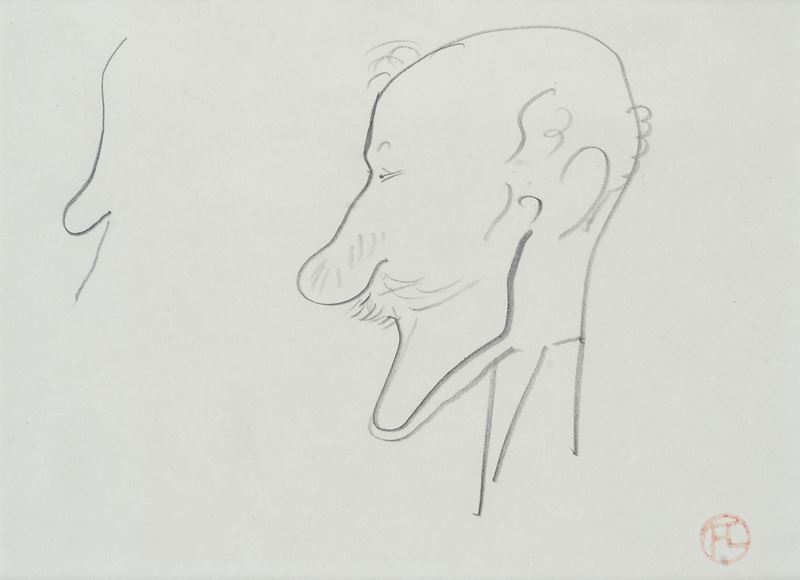 Profilo caricaturale