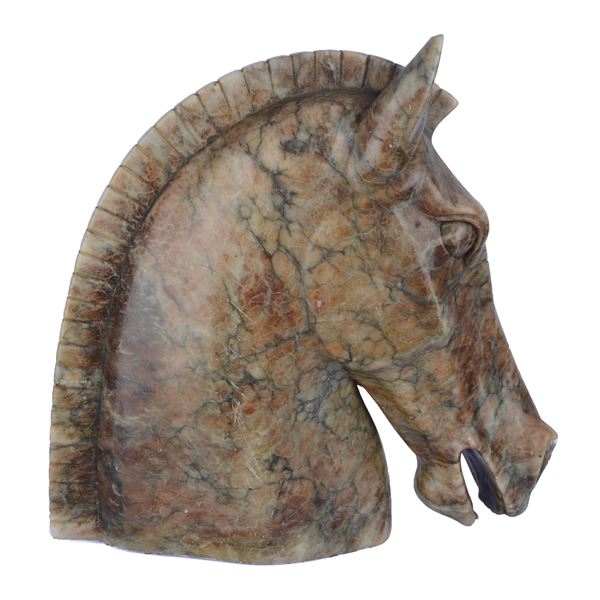Horse's head