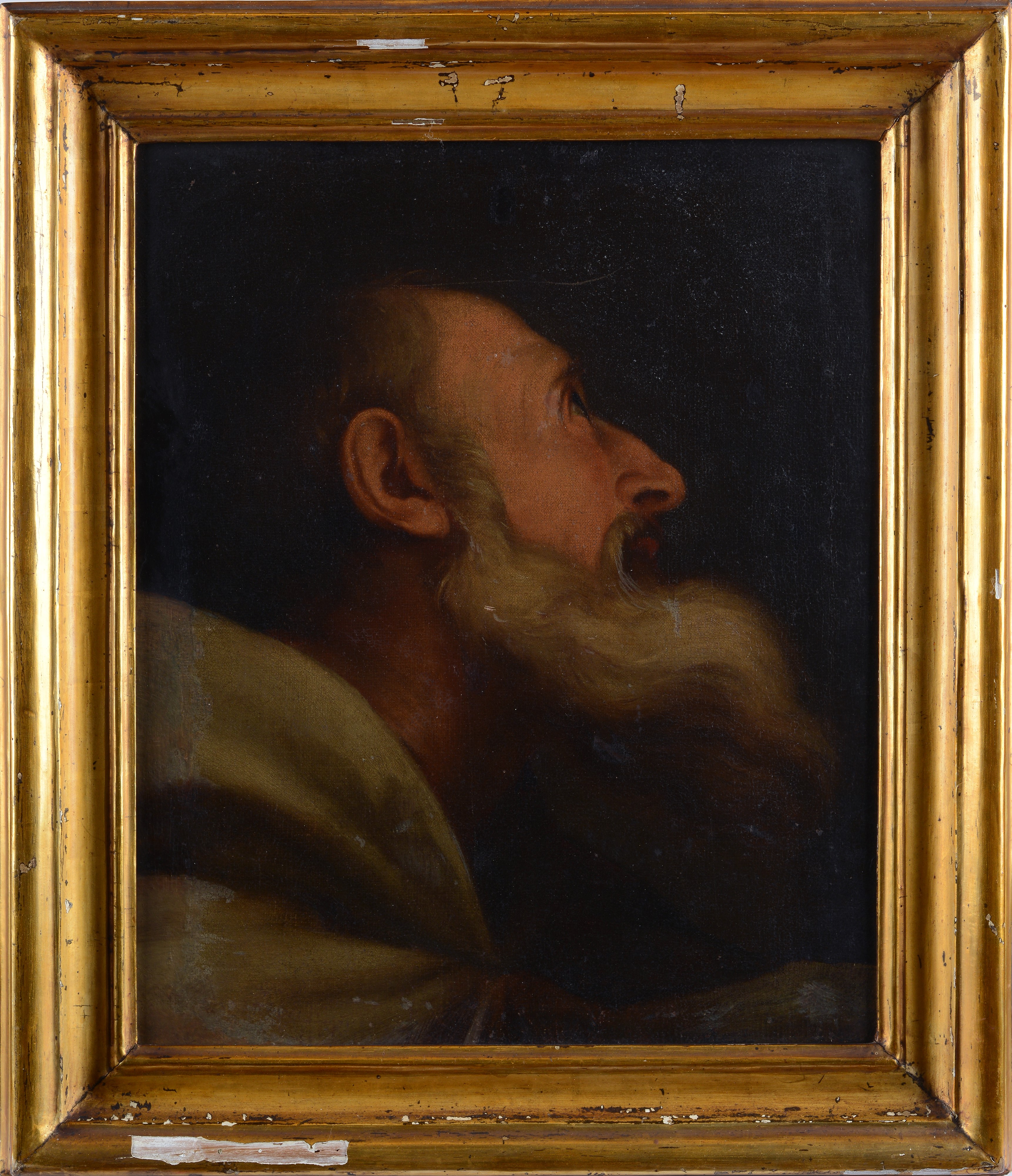 Testa di vecchio (Profeta?)