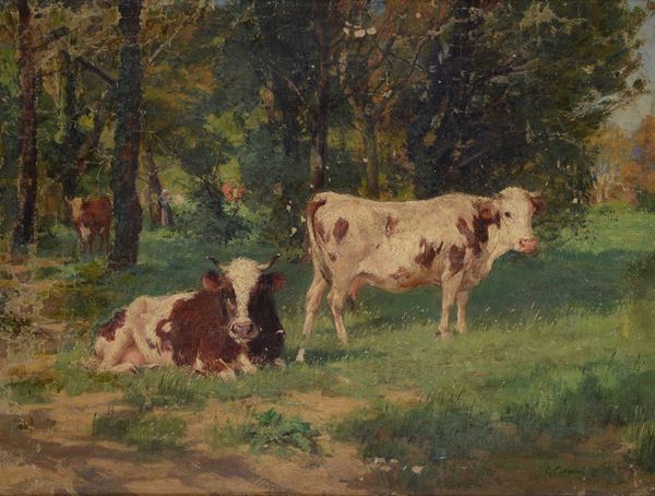 Alceste Campriani - Cows