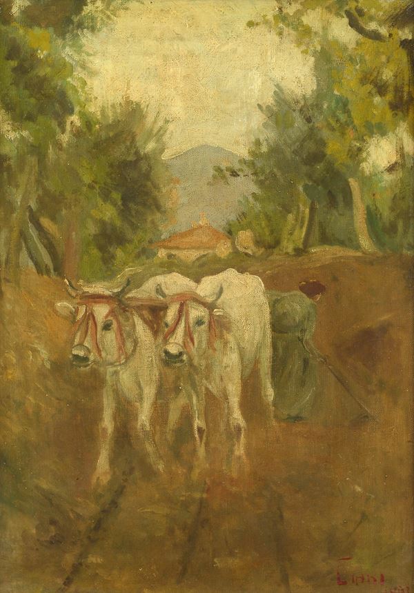 Cesare Ciani - Oxen