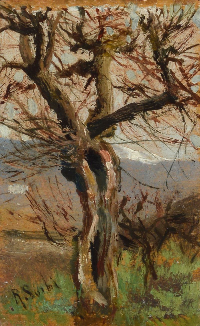 Albero