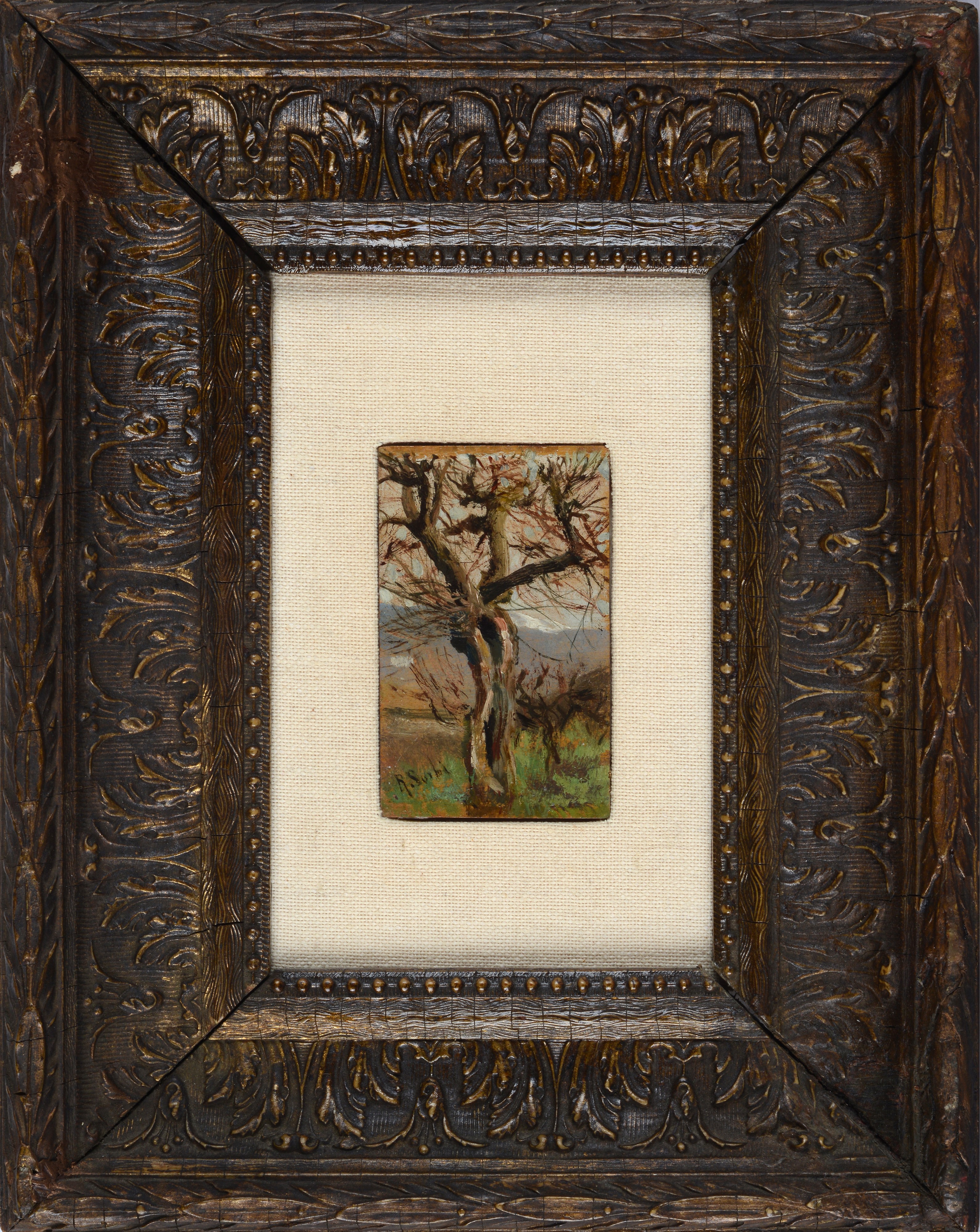 Albero