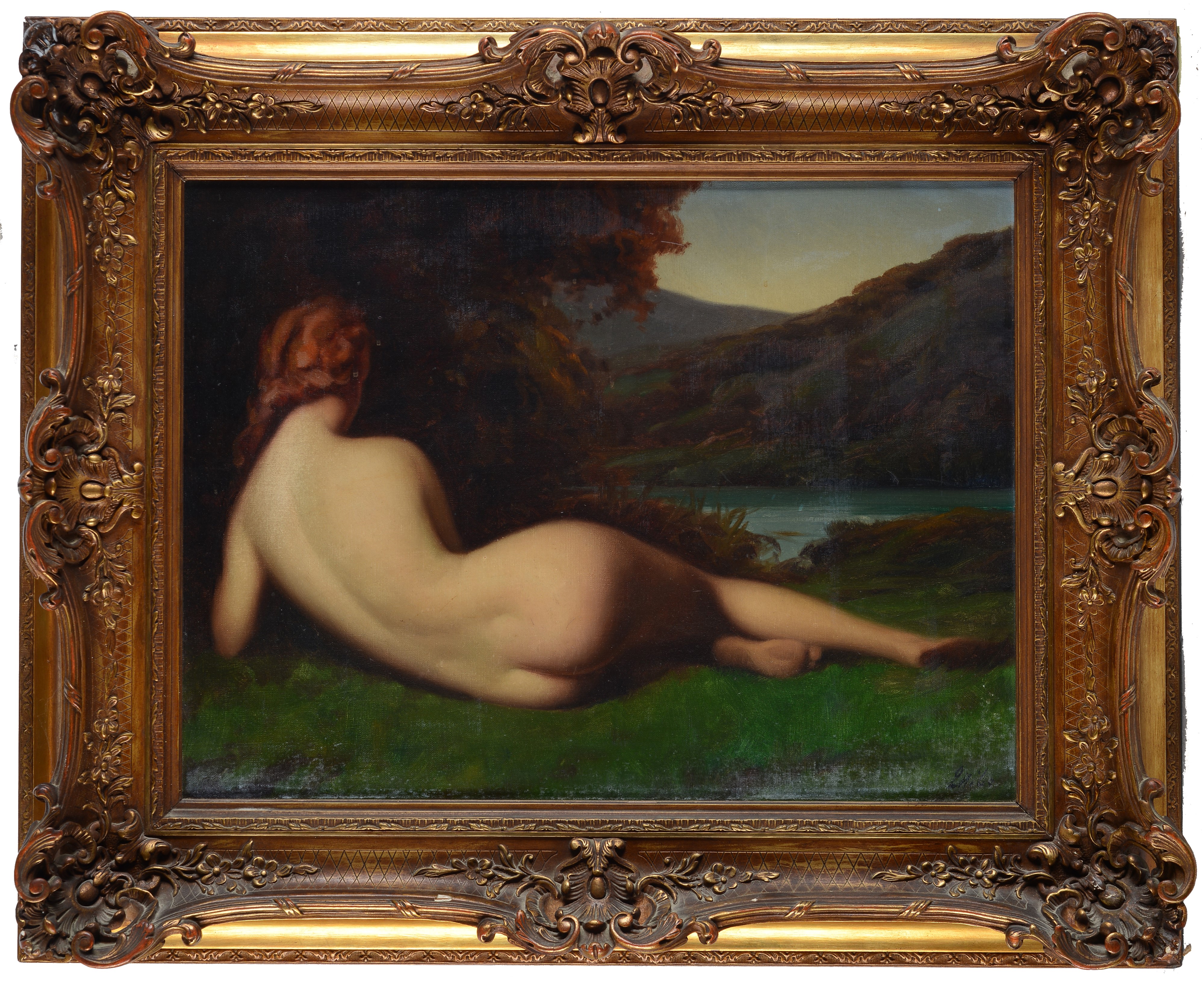 Nudo sdraiato nel paesaggio