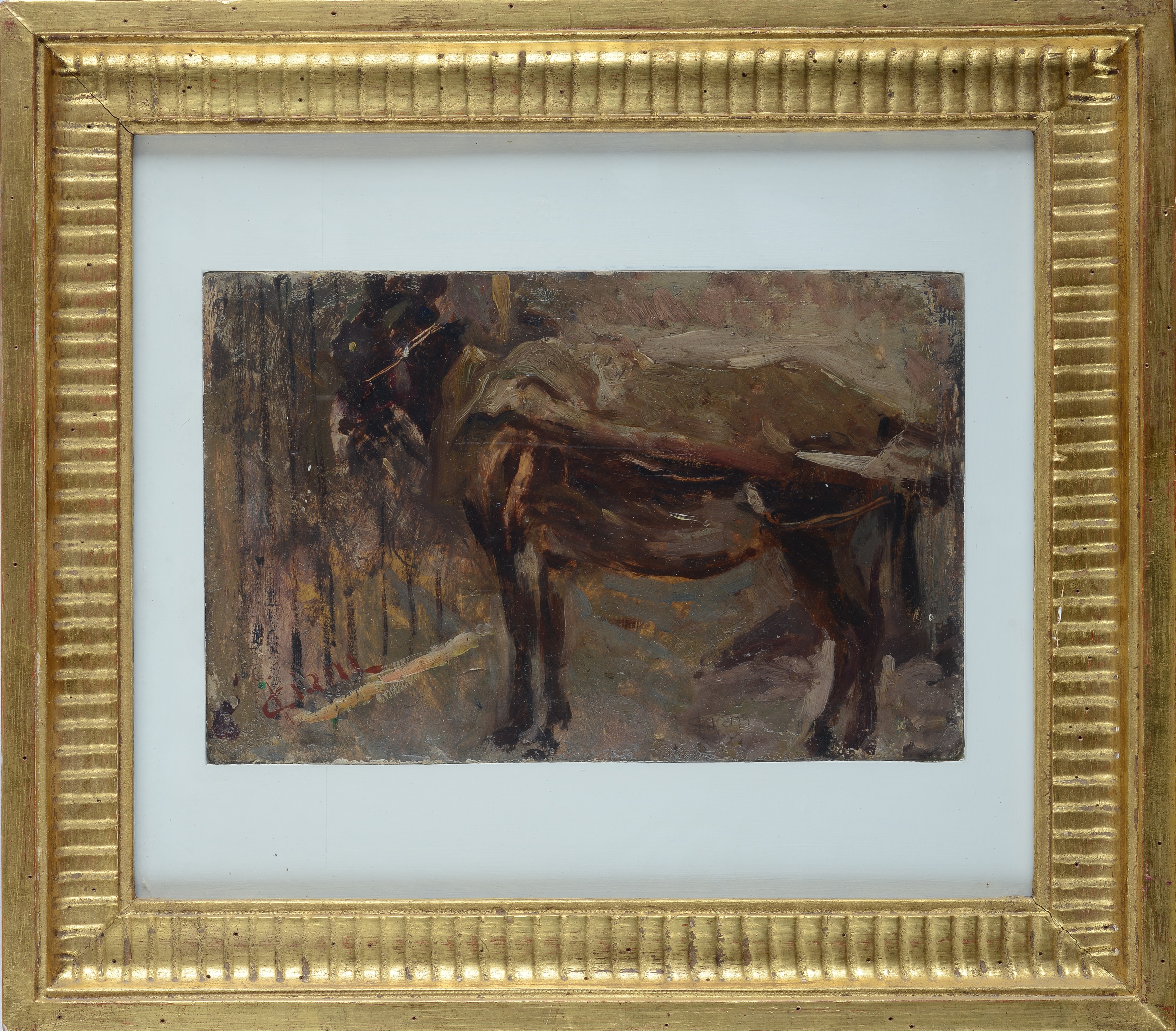 Cesare Ciani - Asinello, olio su cartone