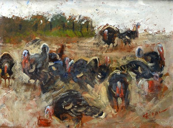 Cesare Ciani - Turkeys