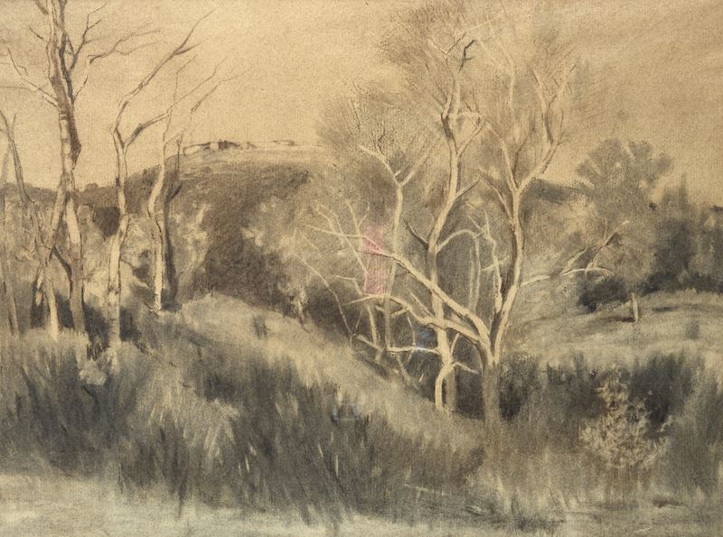 Paesaggio con alberi