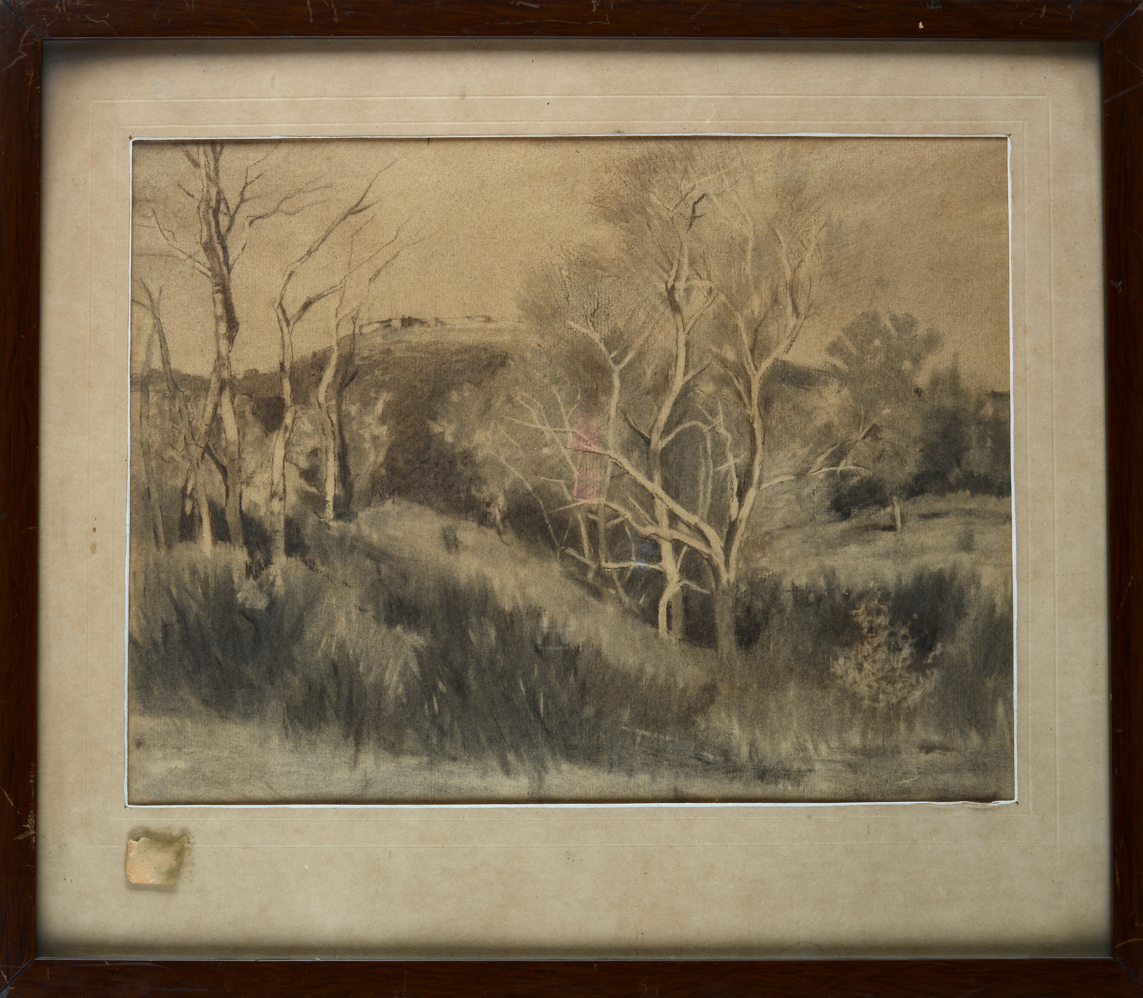 Paesaggio con alberi