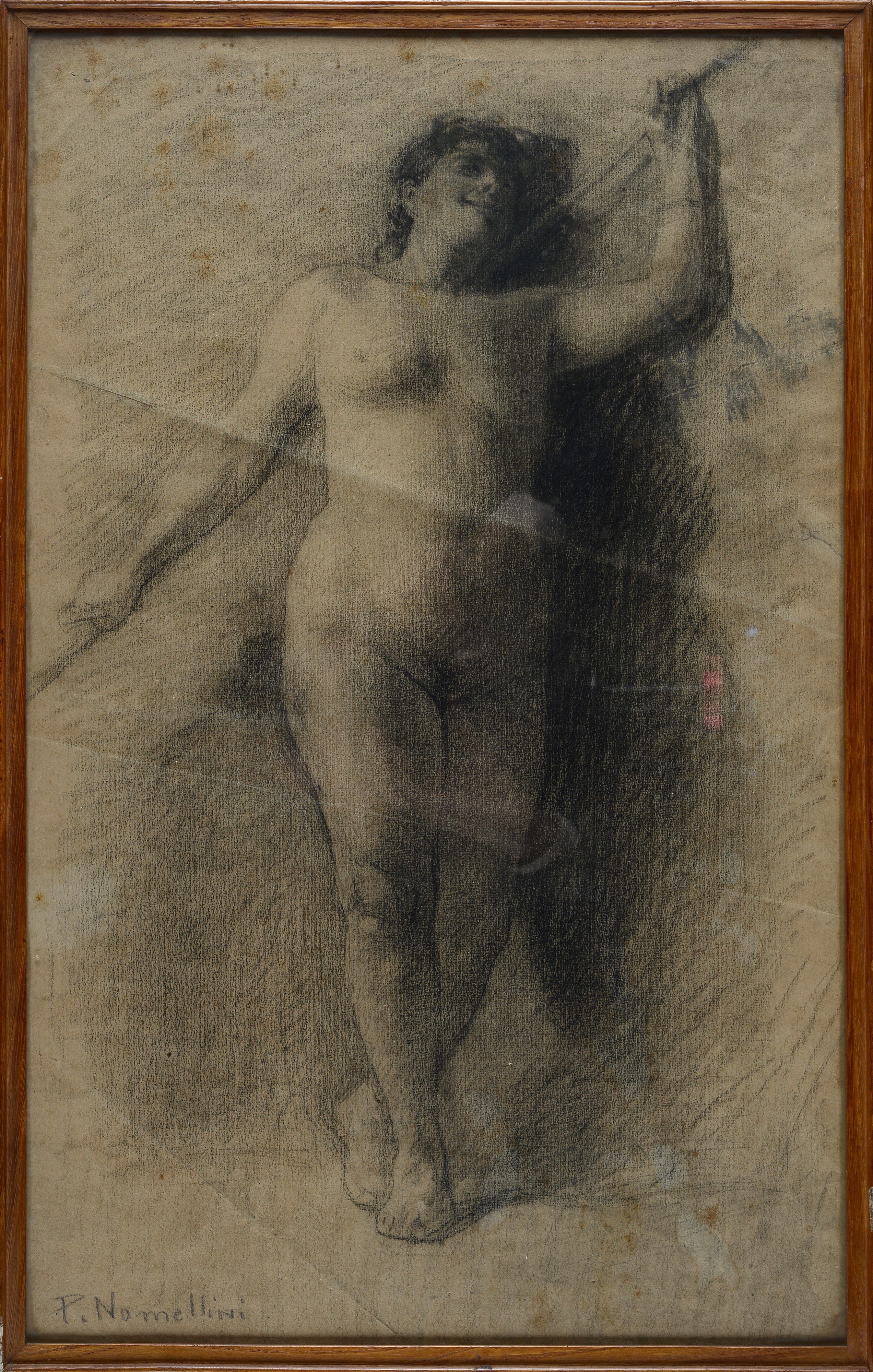 Plinio Nomellini - Nudo, matita su carta